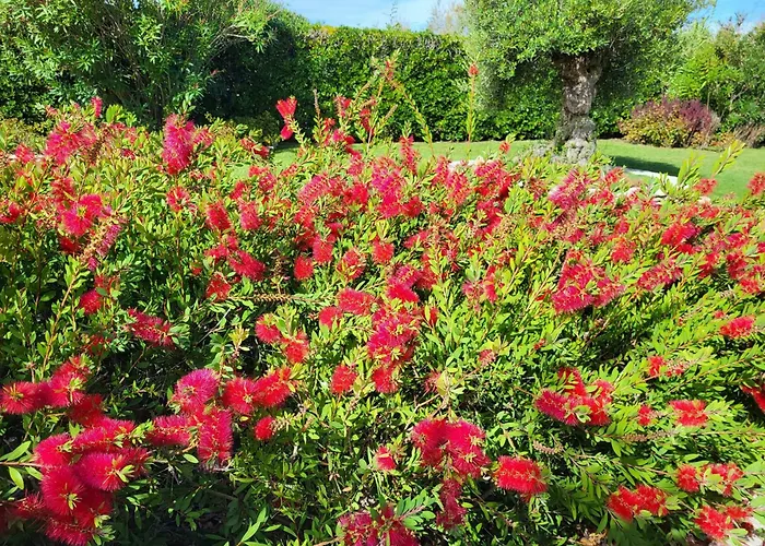 Belvedere * Albarella Island